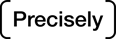 Precisely_logo_black-1